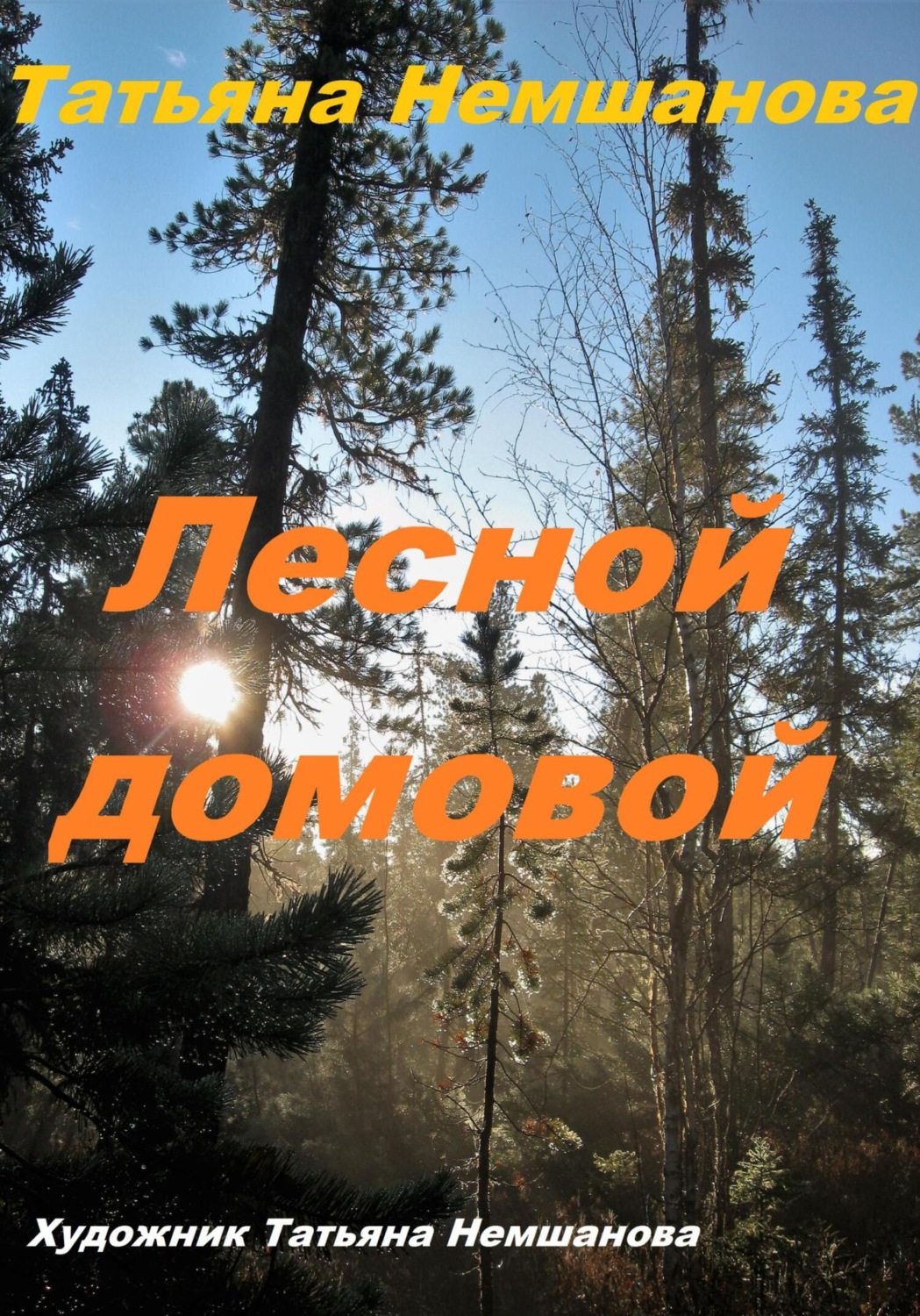 Обложка книги «Лесной домовой»