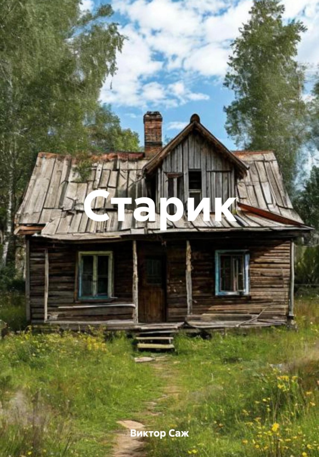 Обложка книги «Старик»