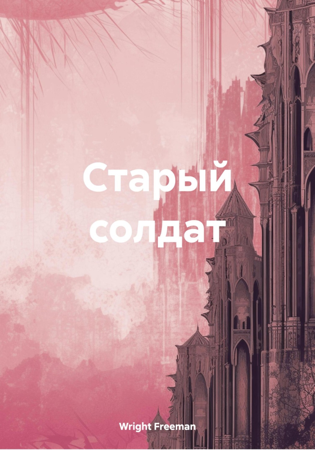 Обложка книги «Старый солдат»