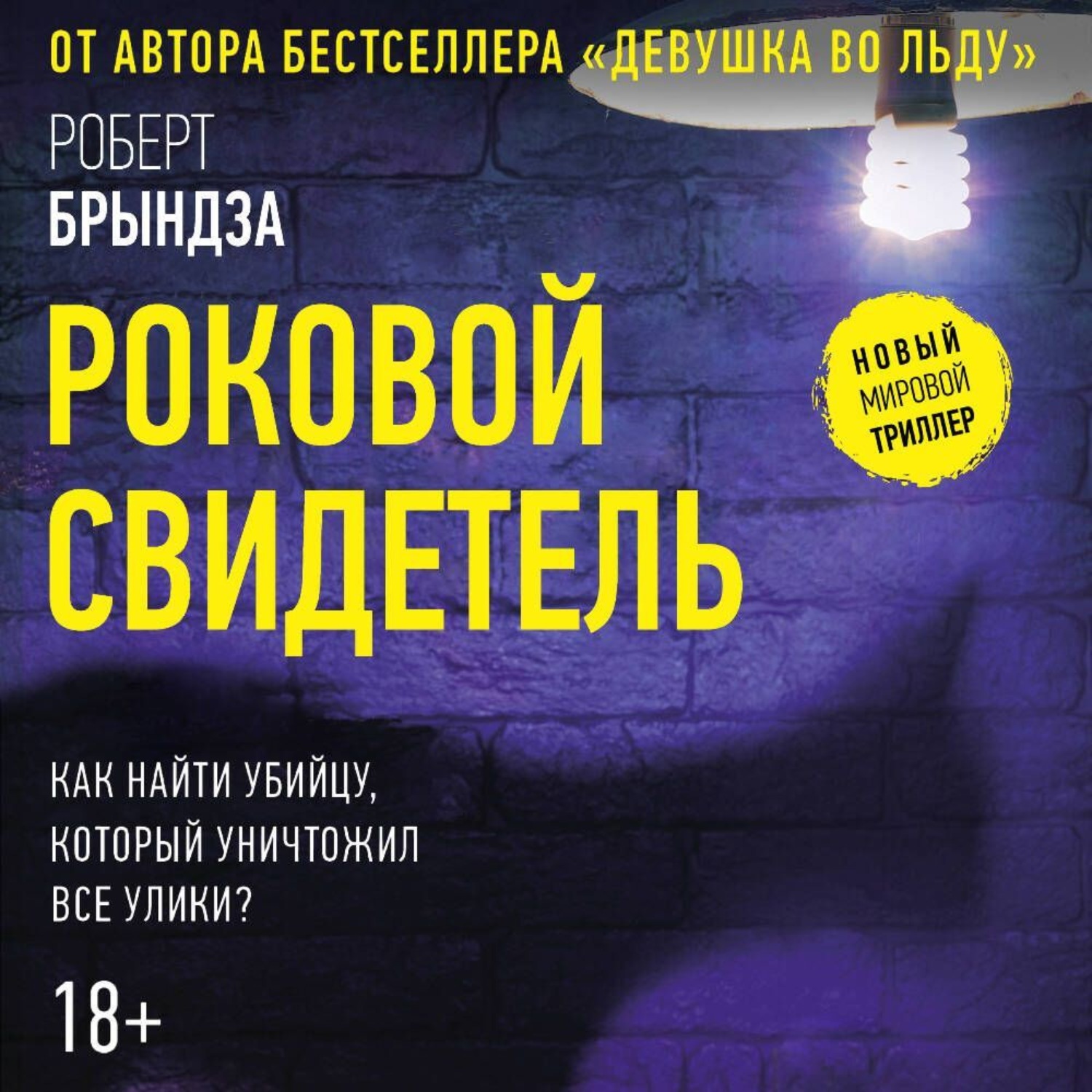 Обложка книги «Роковой свидетель»
