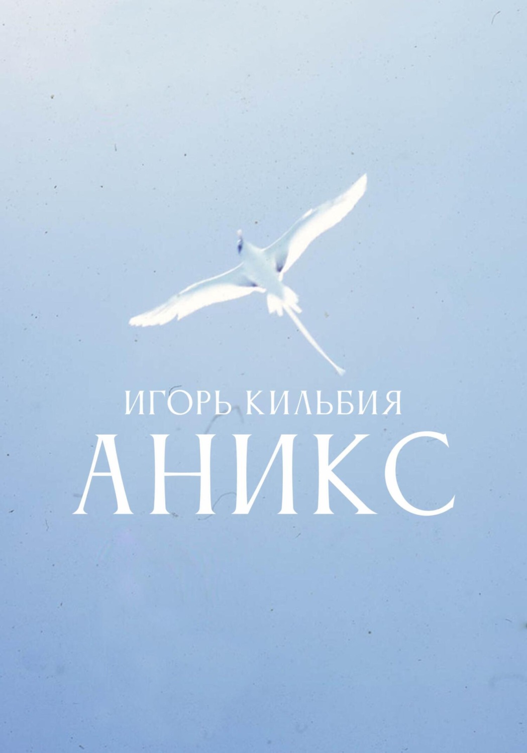 Обложка книги «Аникс»