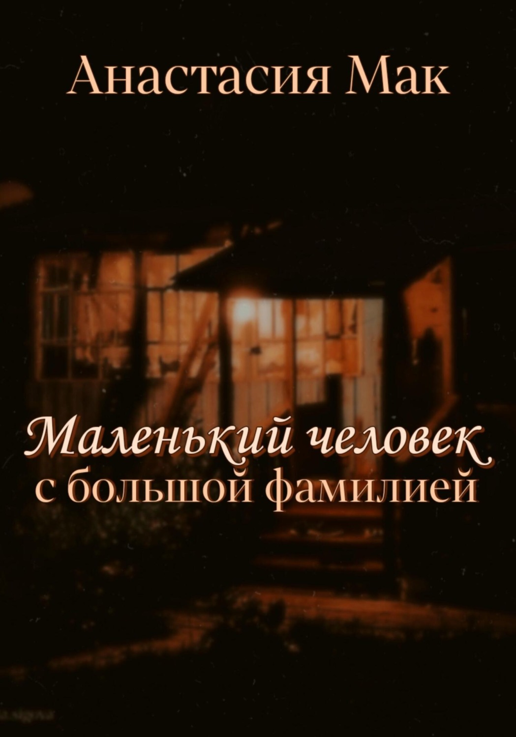 Обложка книги «Маленький человек с большой фамилией»
