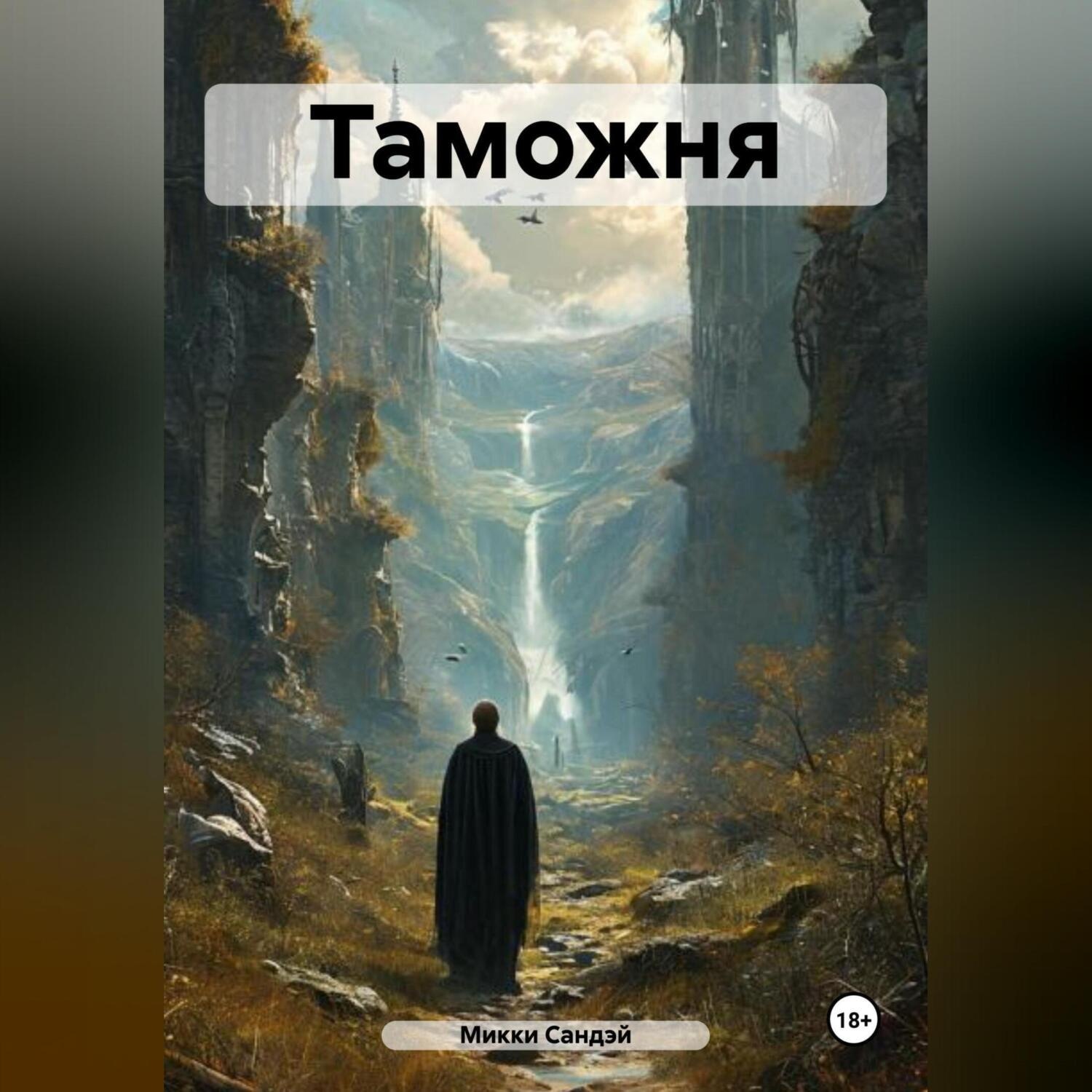 Обложка книги «Таможня»