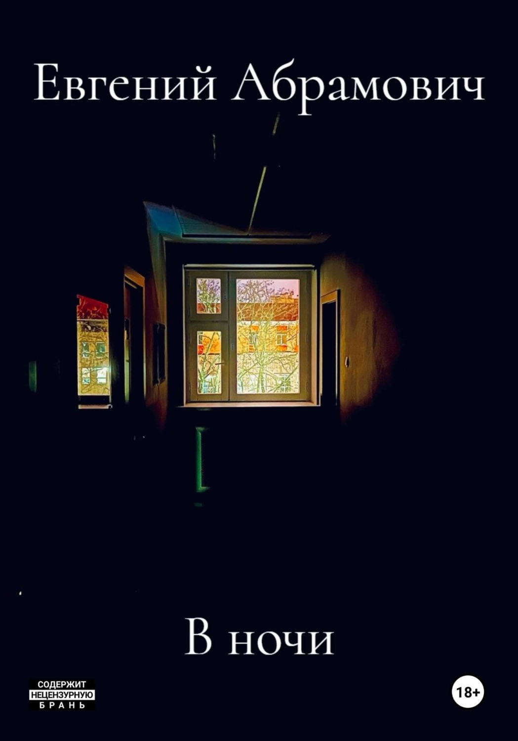 Обложка книги «В ночи»