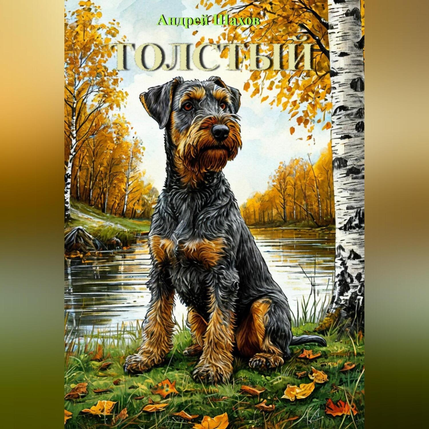 Обложка книги «Толстый»