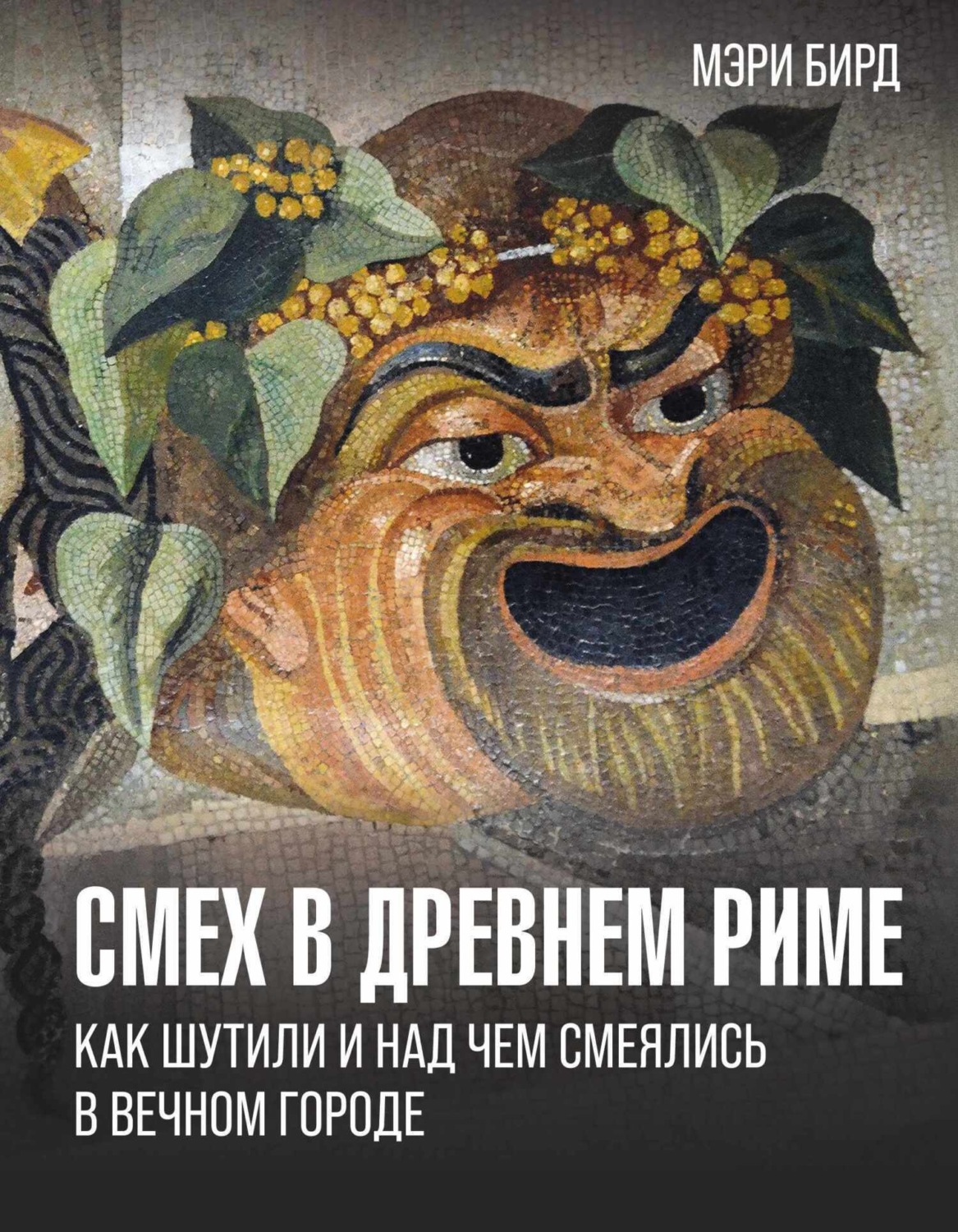 Обложка книги «Смех в Древнем Риме. Как шутили и над чем смеялись в Вечном городе»
