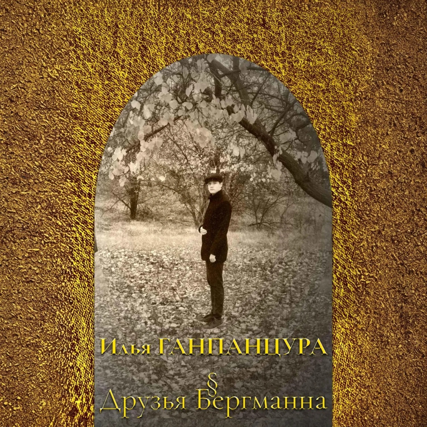 Обложка книги «Друзья Бергманна»