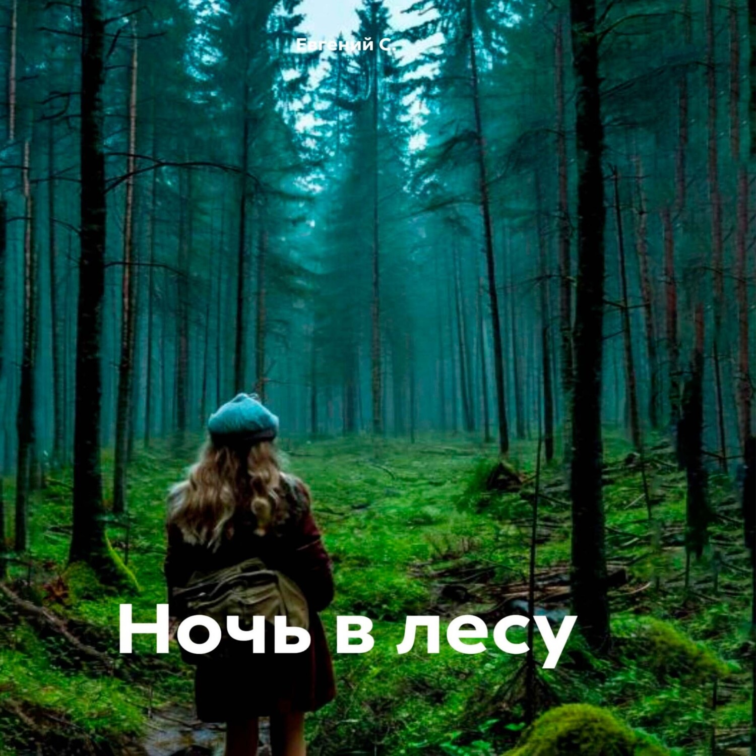Обложка книги «Ночь в лесу»