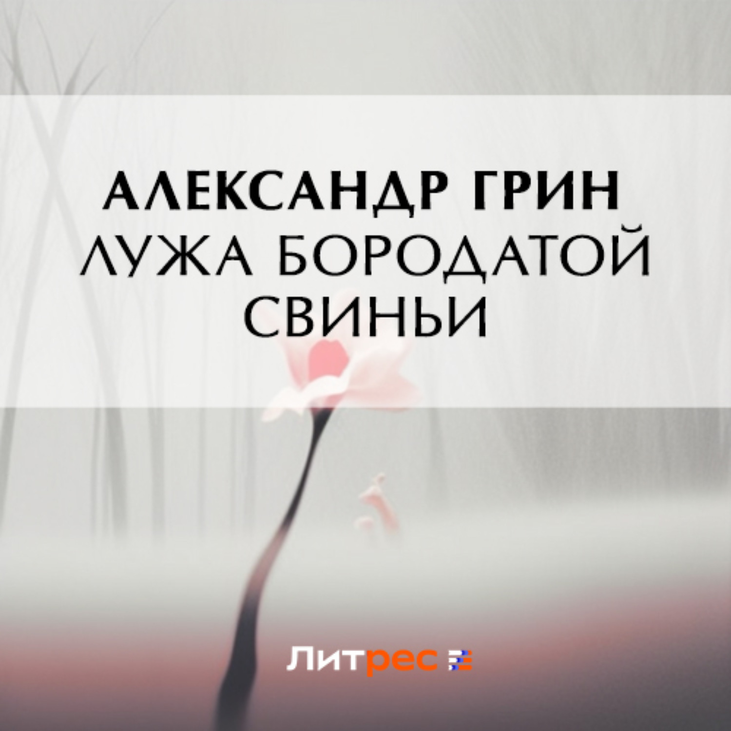 Обложка книги «Лужа Бородатой Свиньи»