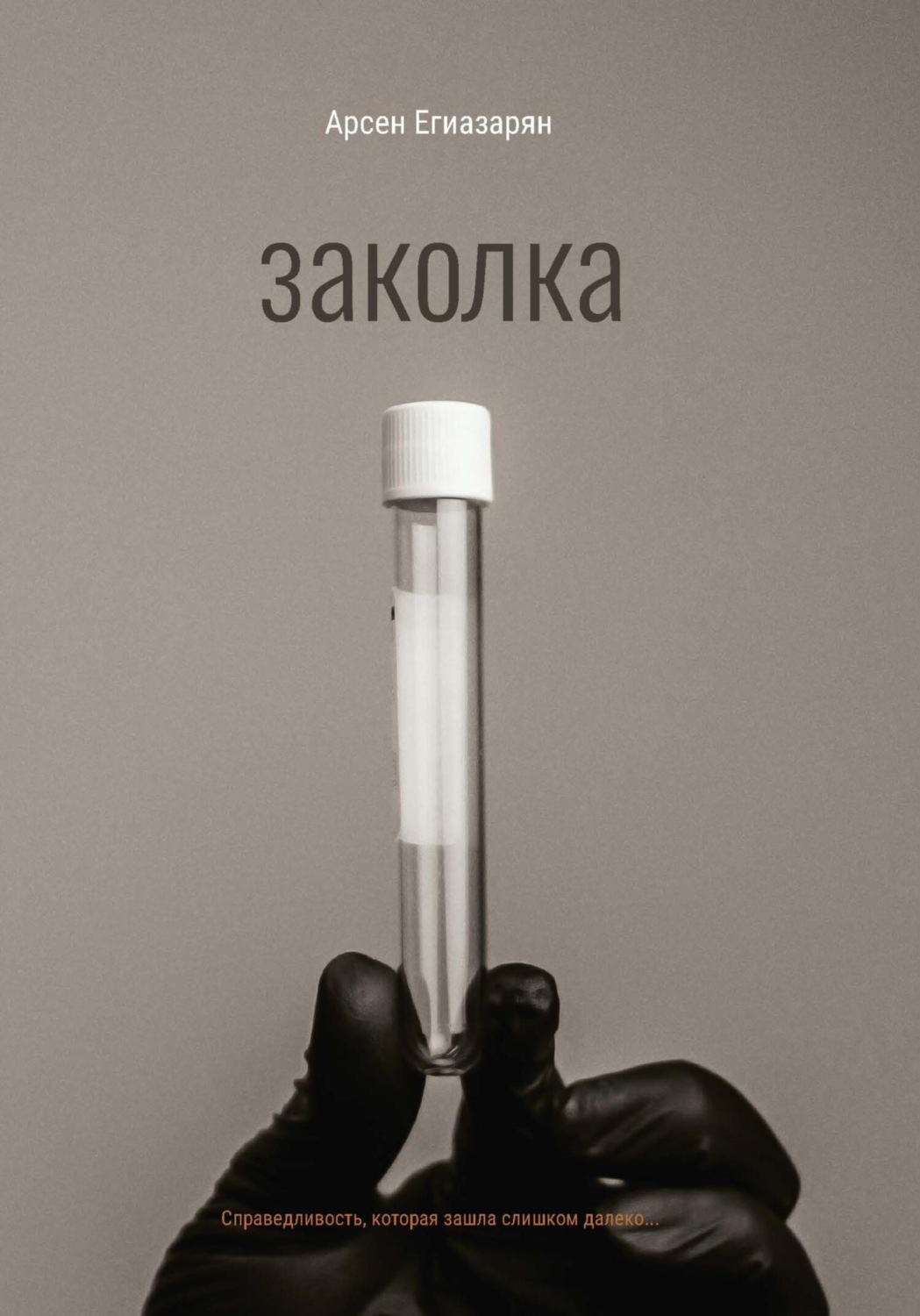 Обложка книги «Заколка»