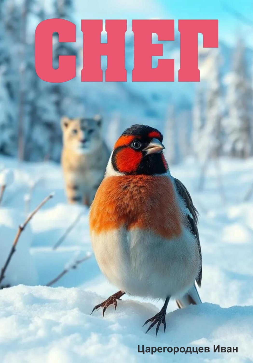 Обложка книги «Снег»