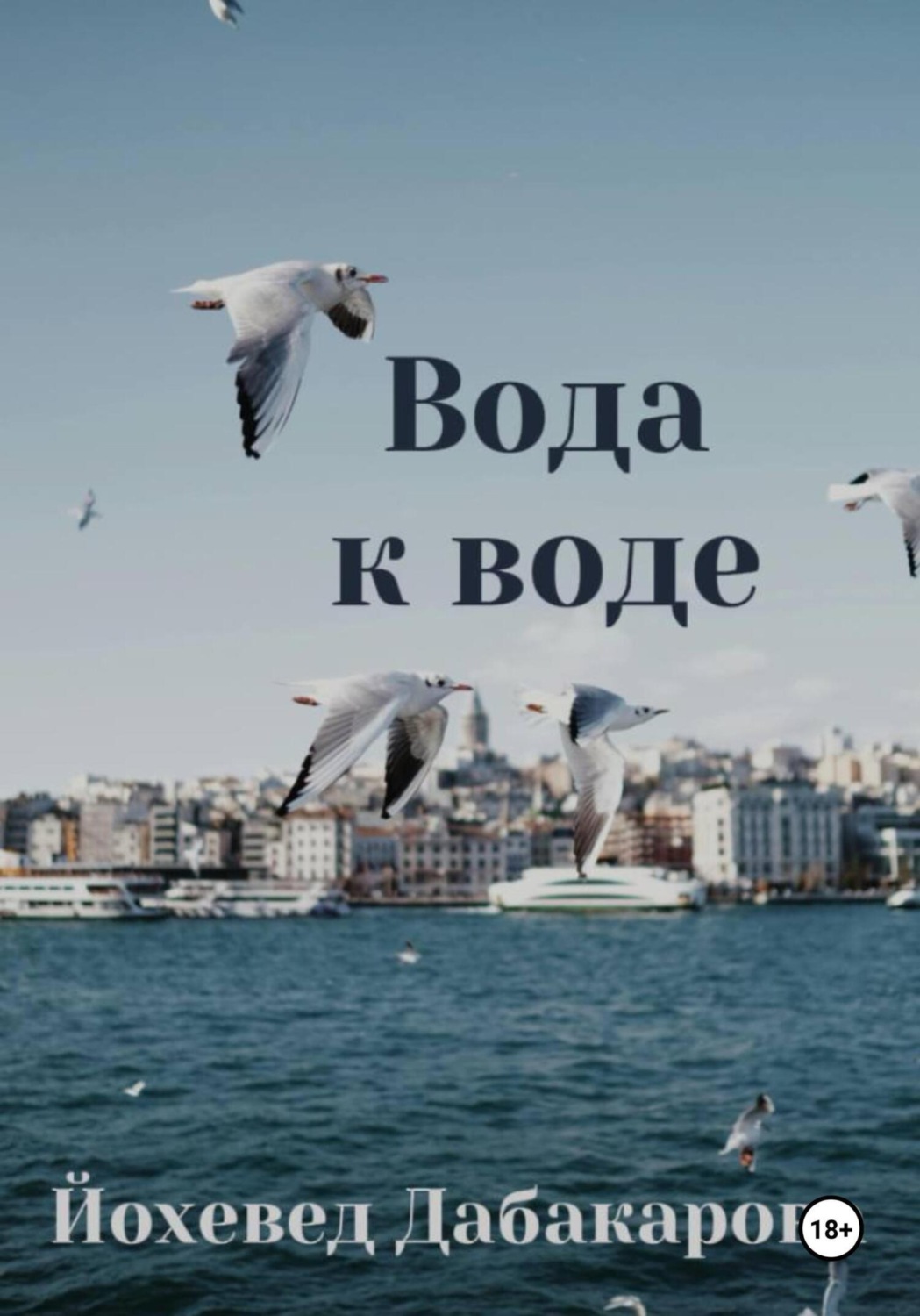 Обложка книги «Вода к воде»