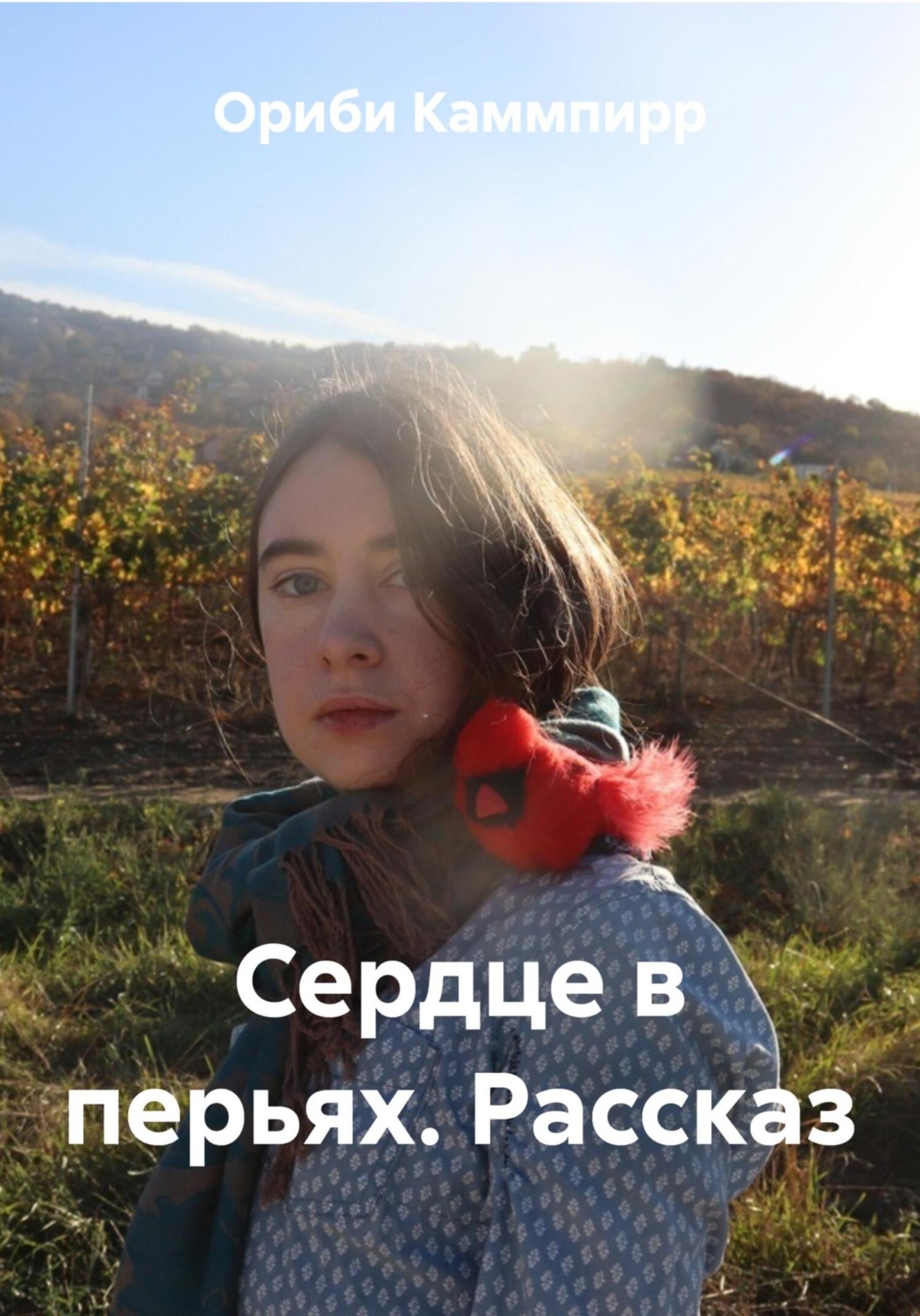 Обложка книги «Сердце в перьях. Рассказ»