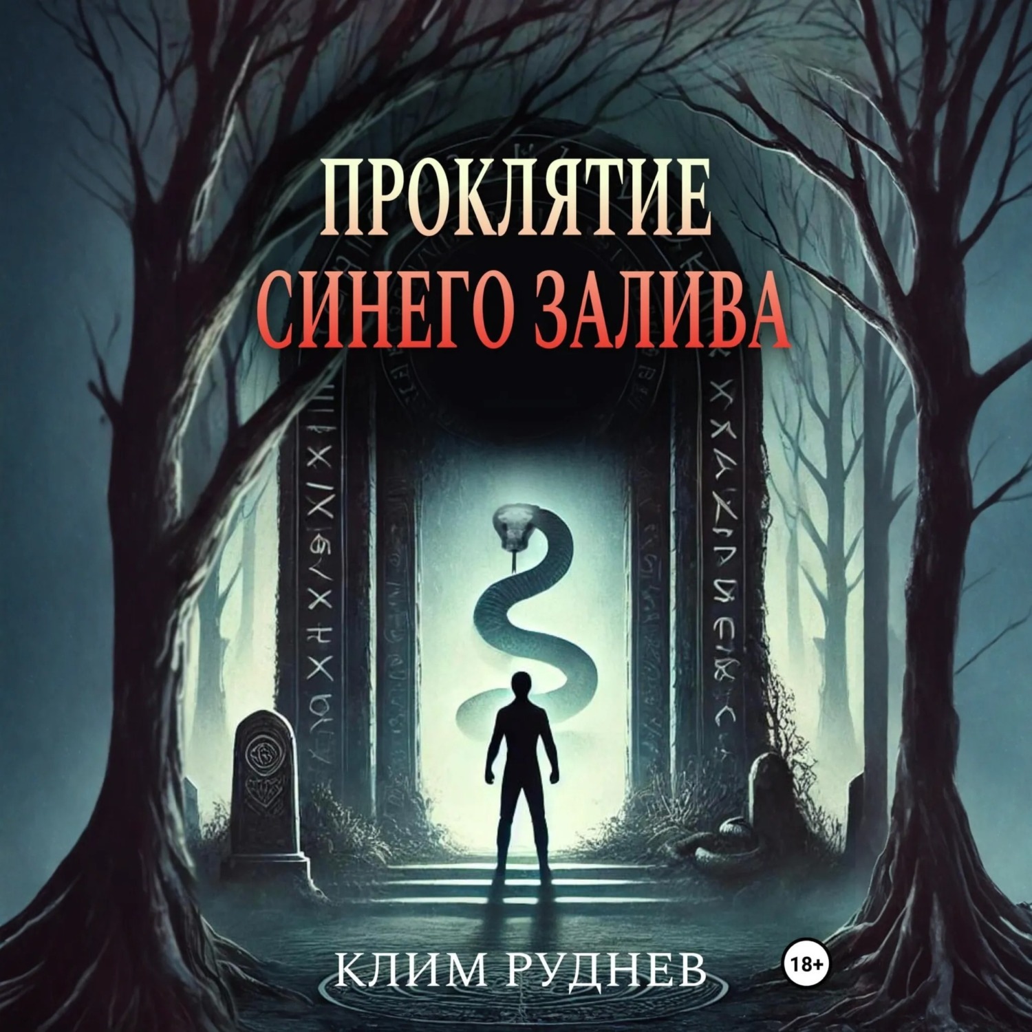 Обложка книги «Проклятие Синего залива»