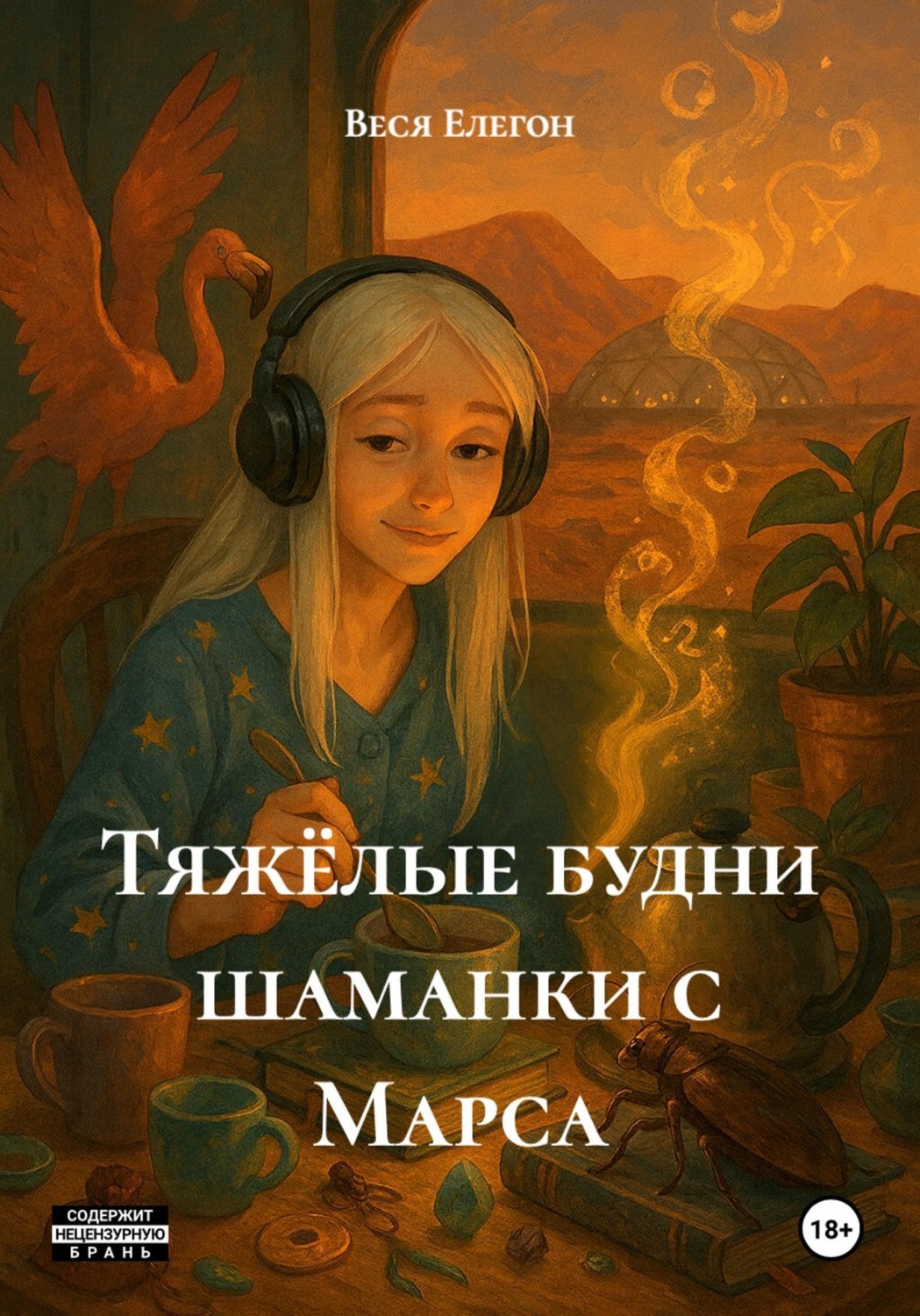 Обложка книги «Тяжёлые будни шаманки с Марса»