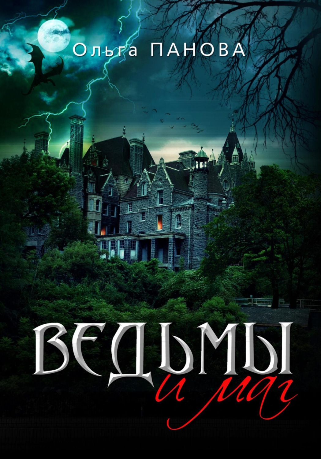 Обложка книги «Ведьмы и маг»