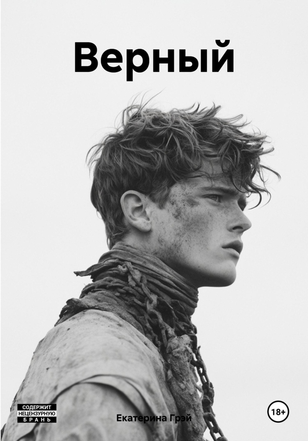 Обложка книги «Верный»
