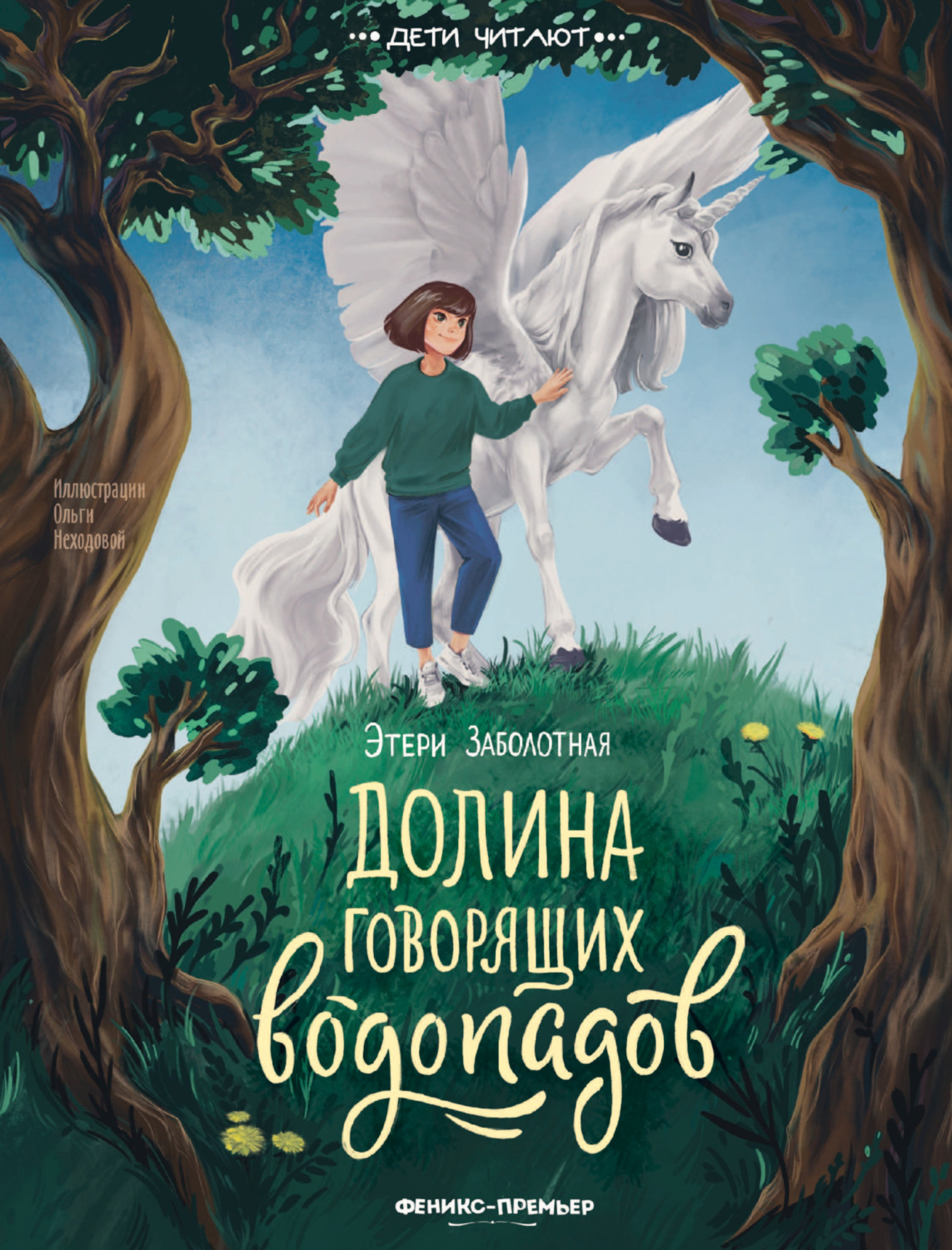Обложка книги «Долина говорящих водопадов»