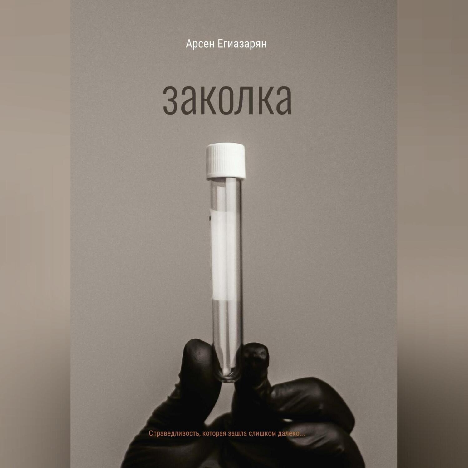 Обложка книги «Заколка»