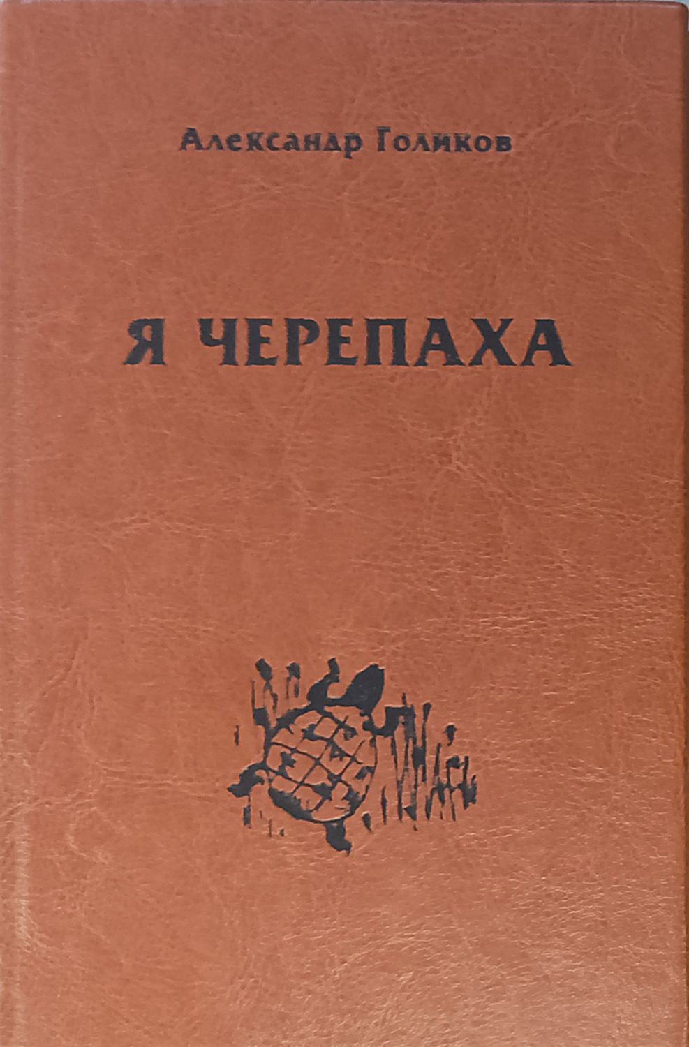Обложка книги «Я черепаха»