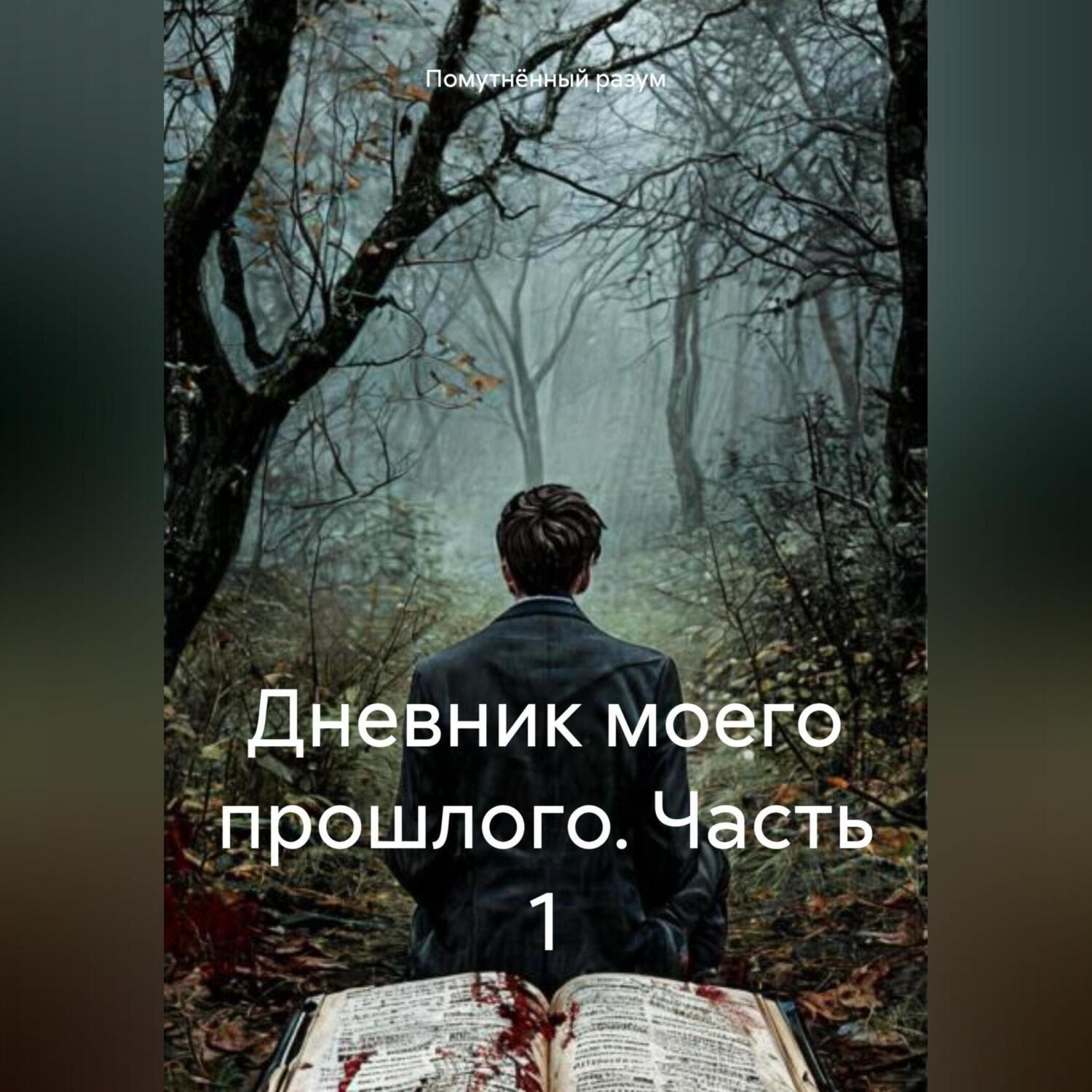 Обложка книги «Дневник моего прошлого. Часть 1»