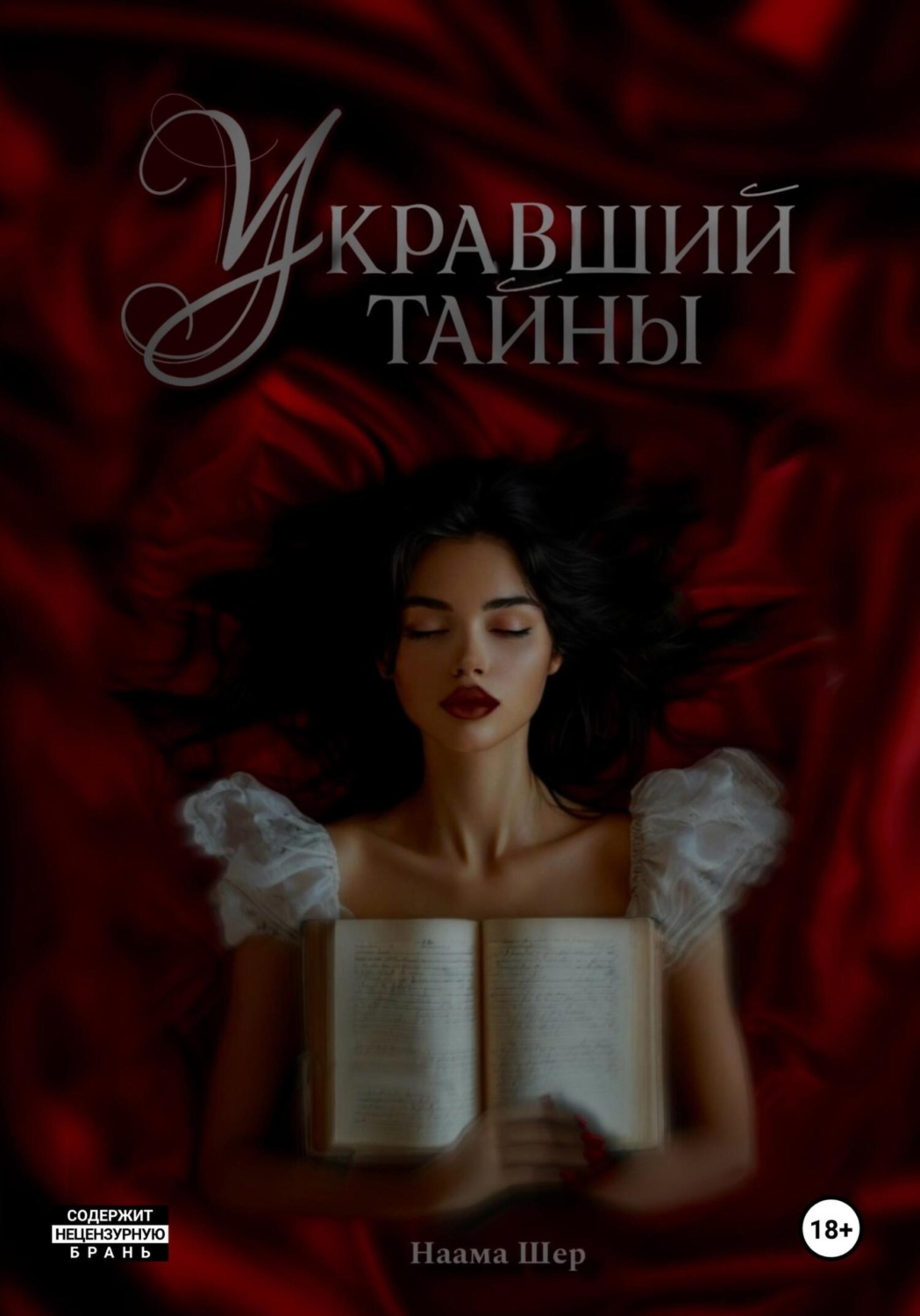 Обложка книги «Укравший тайны»