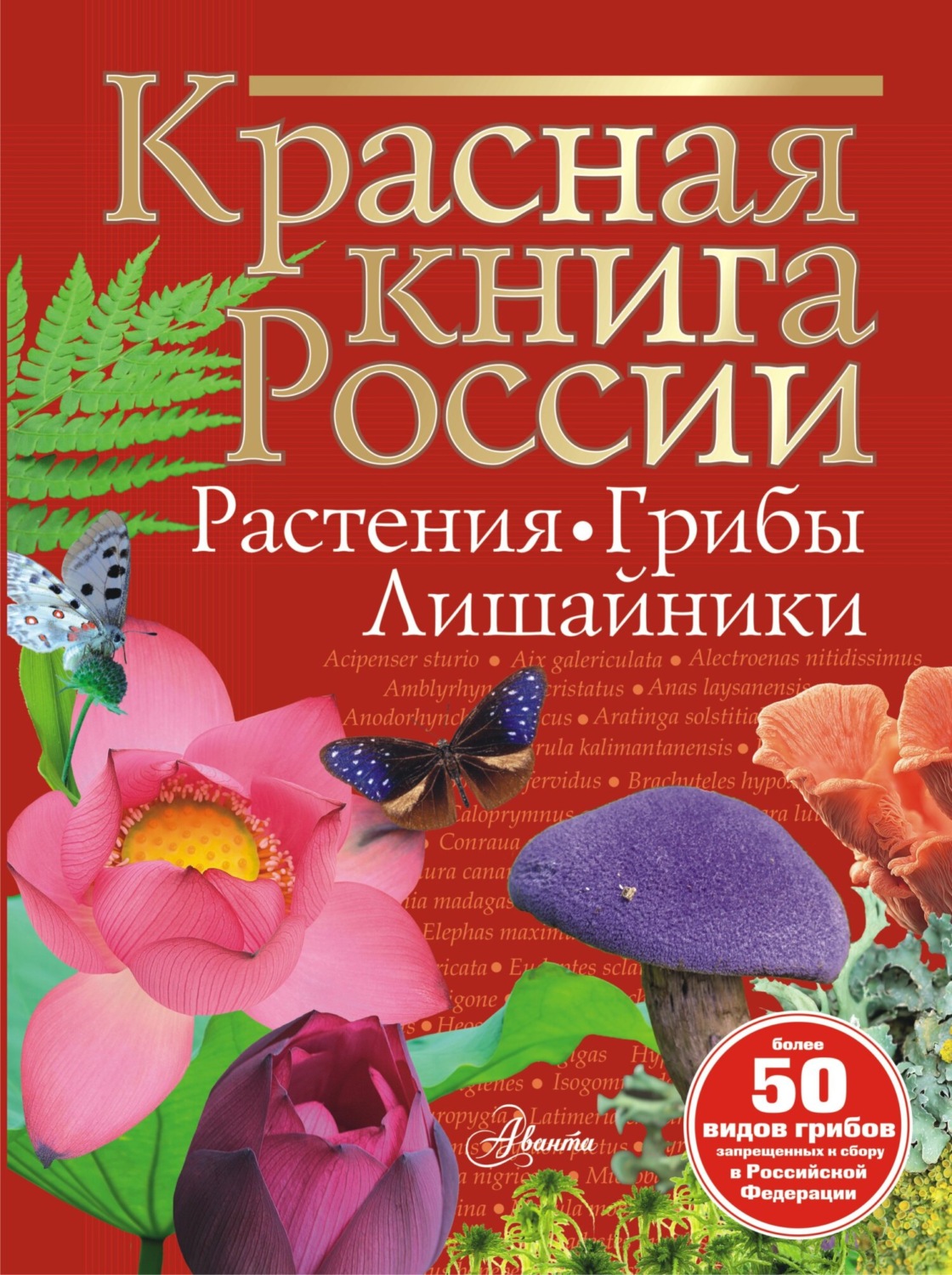 Обложка книги «Красная книга России. Растения, грибы, лишайники»