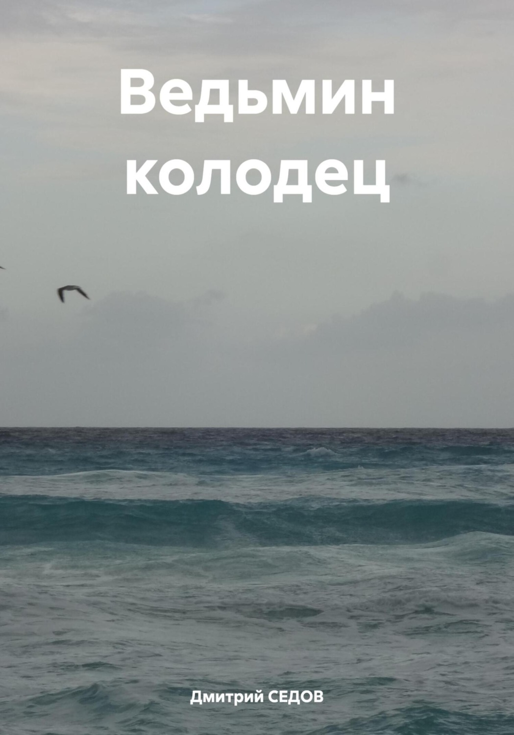 Обложка книги «Ведьмин колодец»
