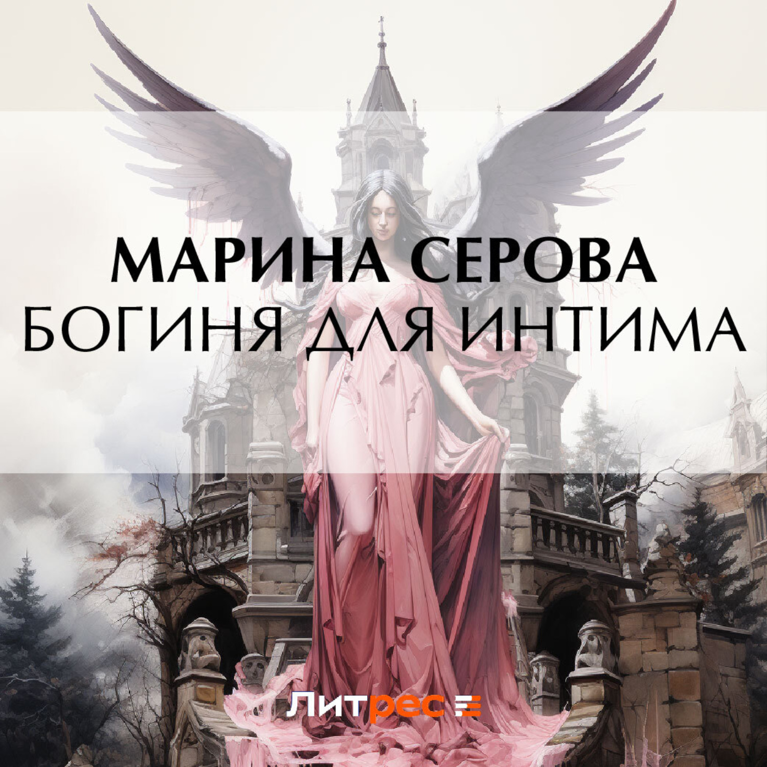 Обложка книги «Богиня для интима»