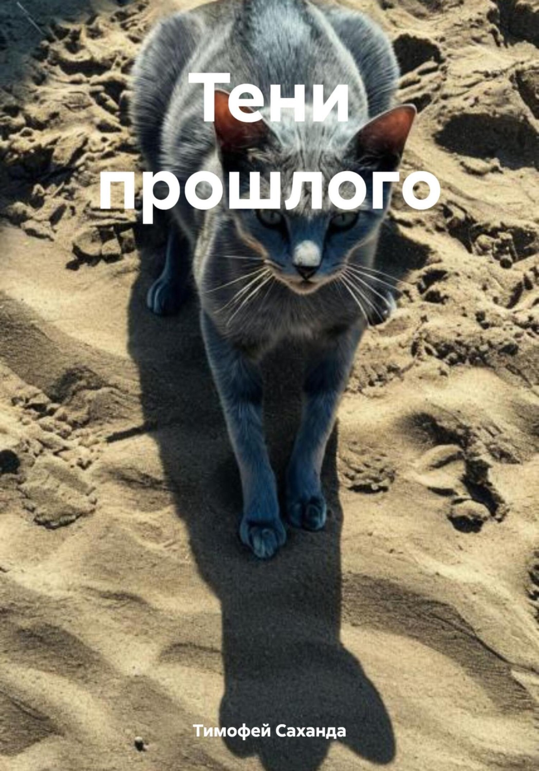 Обложка книги «Тени прошлого»