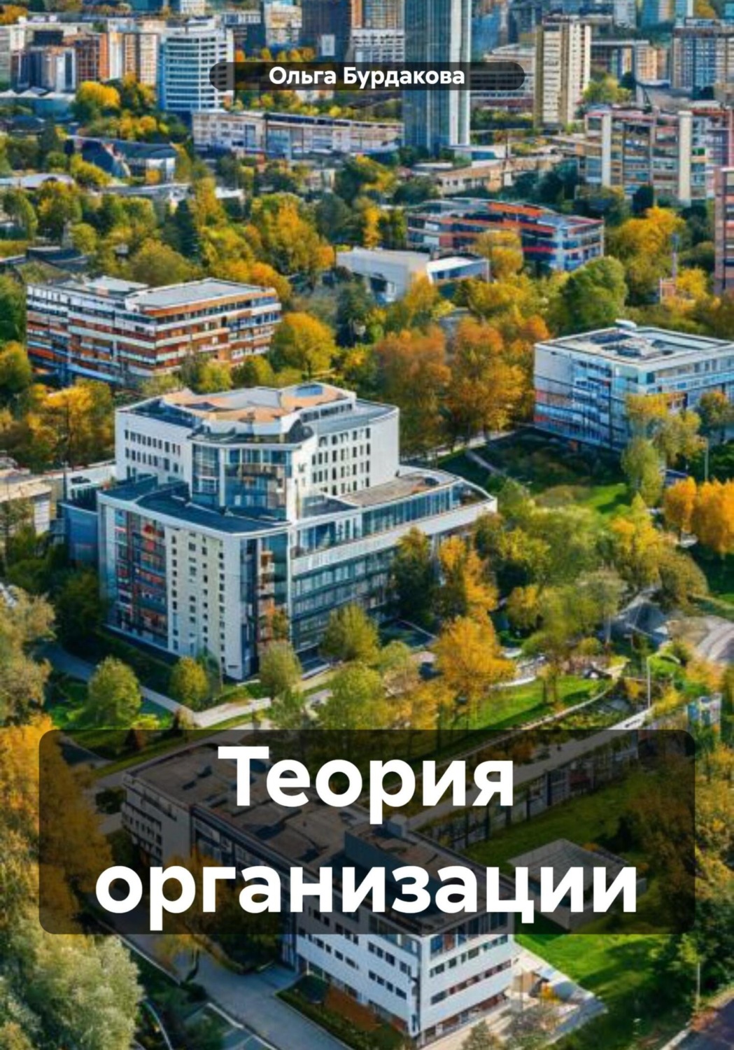 Обложка книги «Теория организации»