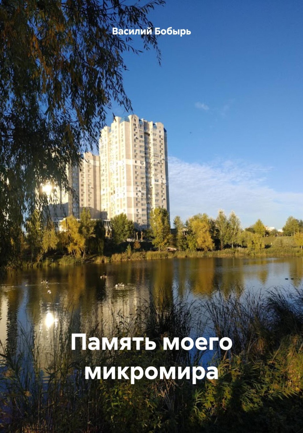 Обложка книги «Память моего микромира»