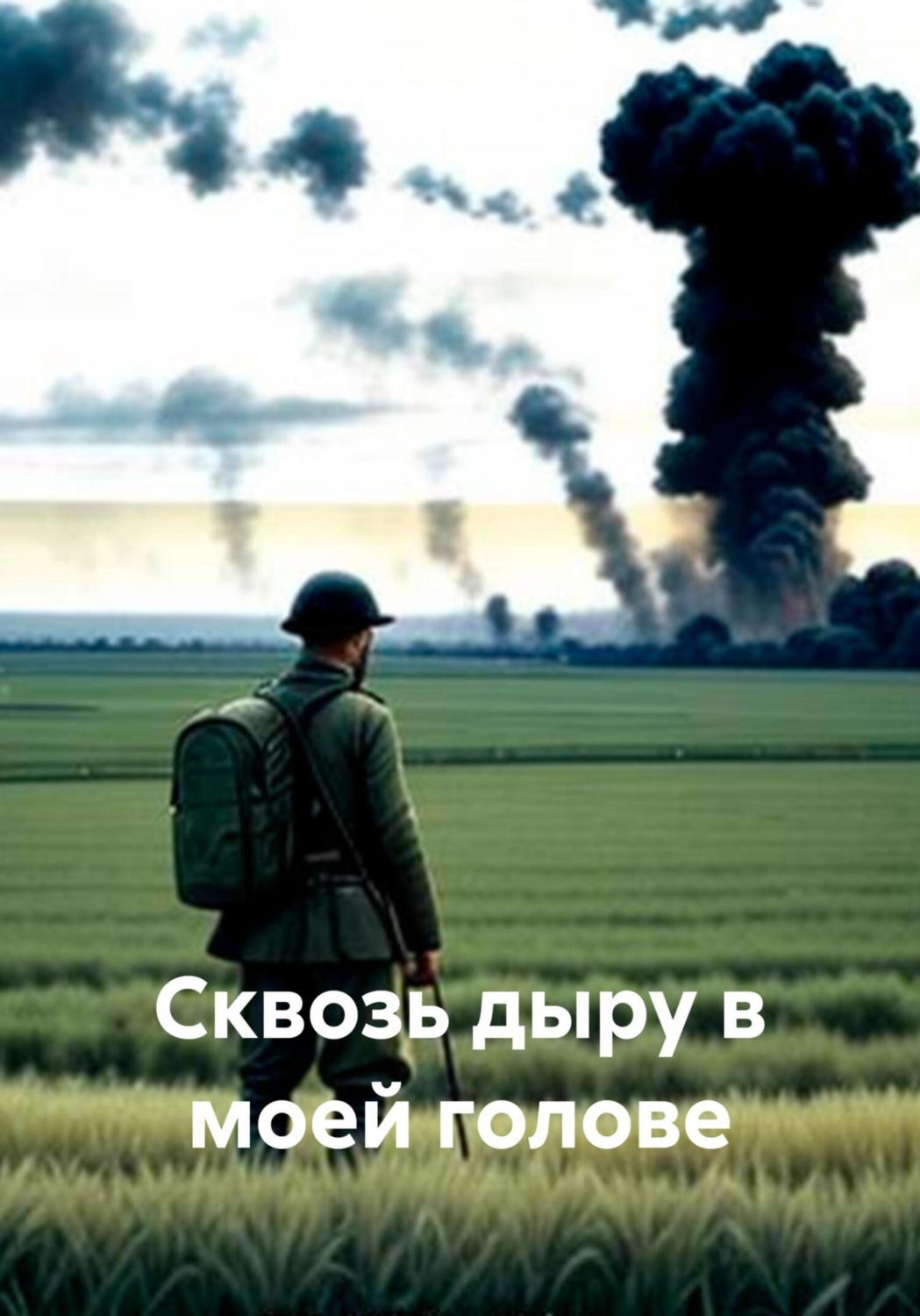 Обложка книги «Сквозь дыру в моей голове»