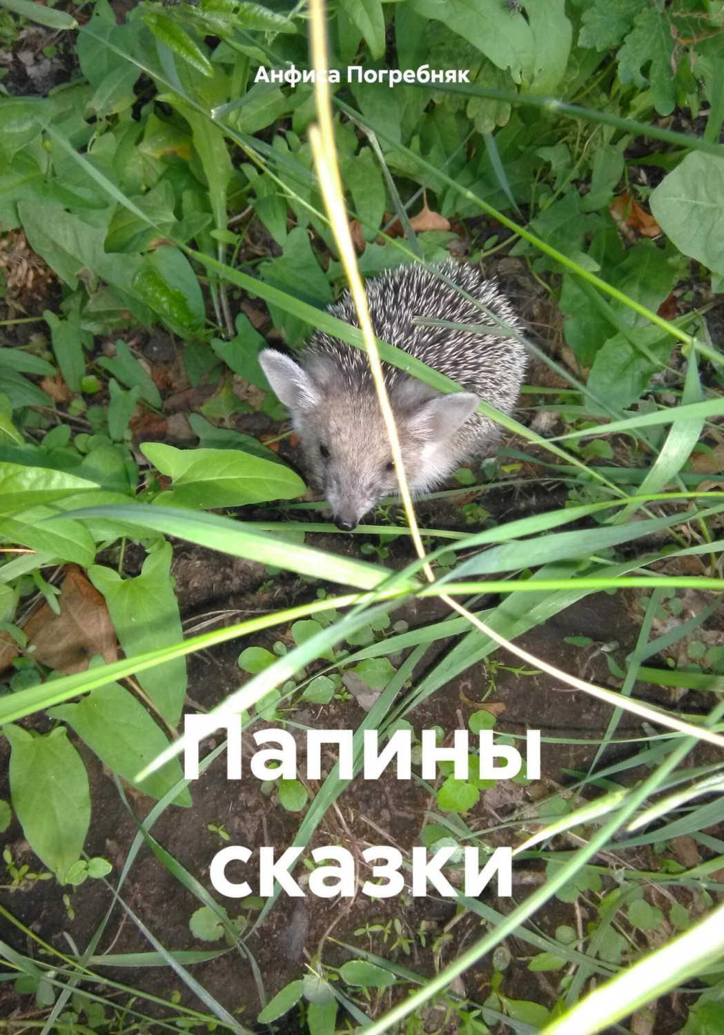 Обложка книги «Папины сказки»