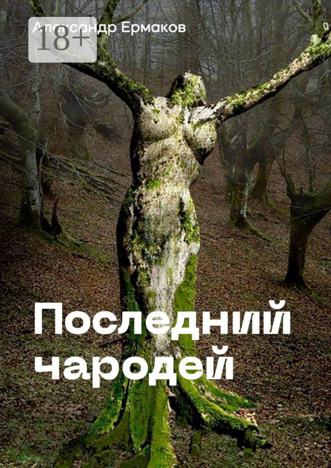 Обложка книги «Последний чародей»