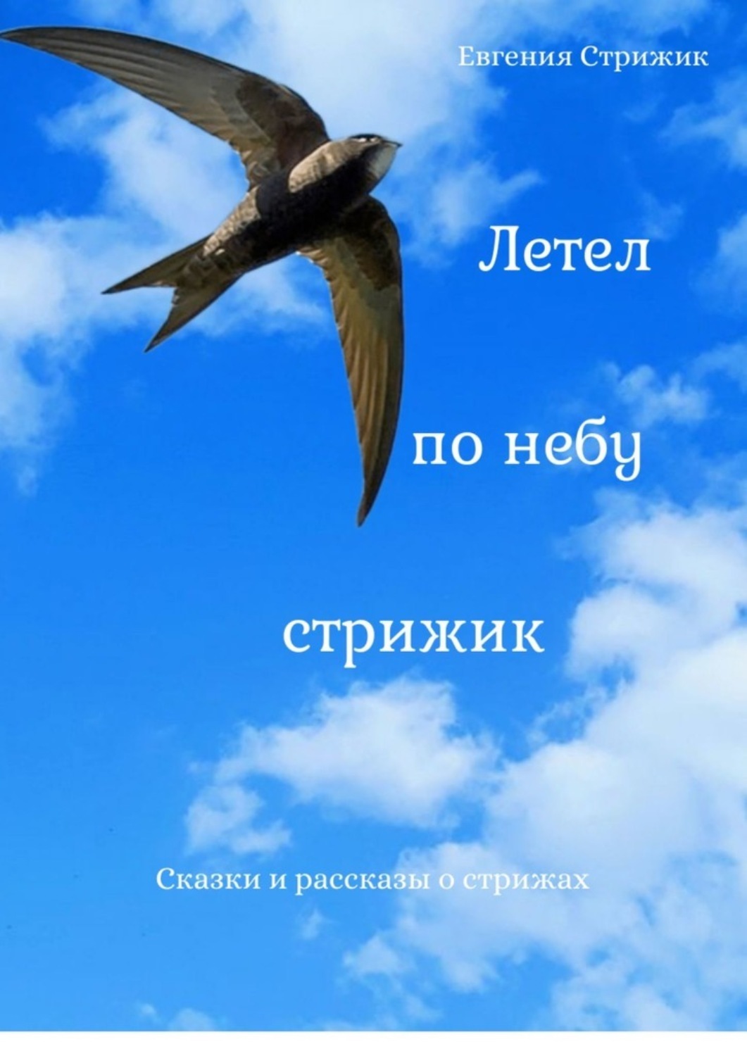 Обложка книги «Летел по небу стрижик»