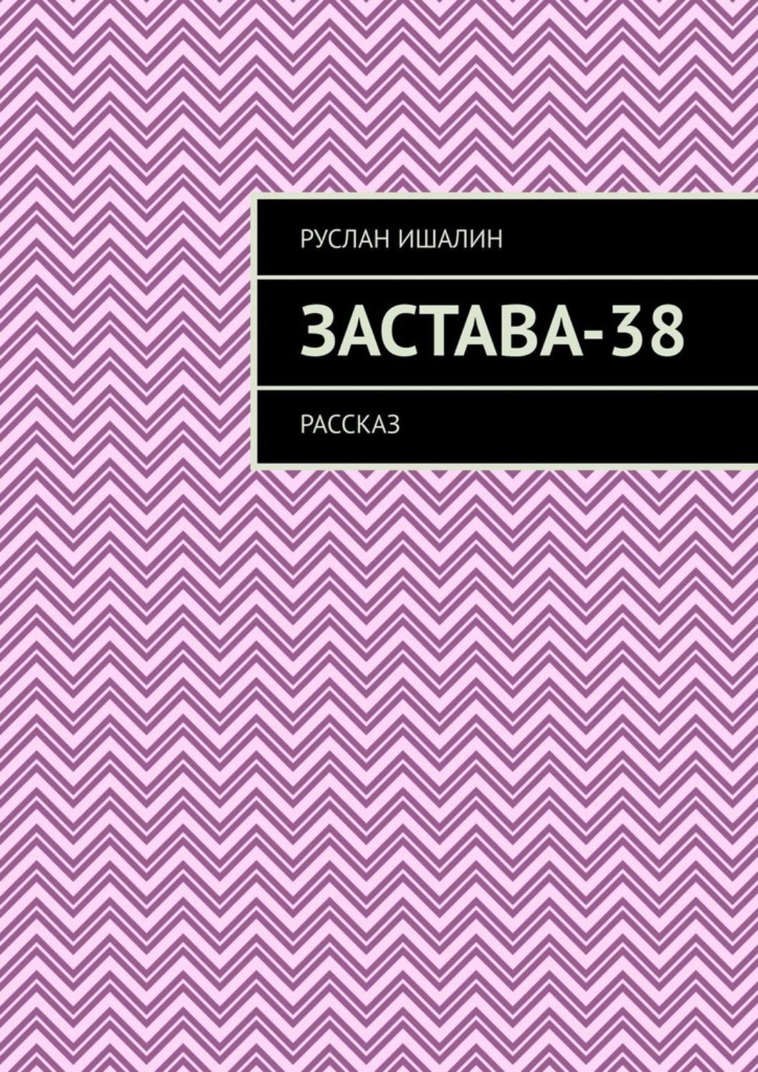 Обложка книги «Застава-38. Рассказ»