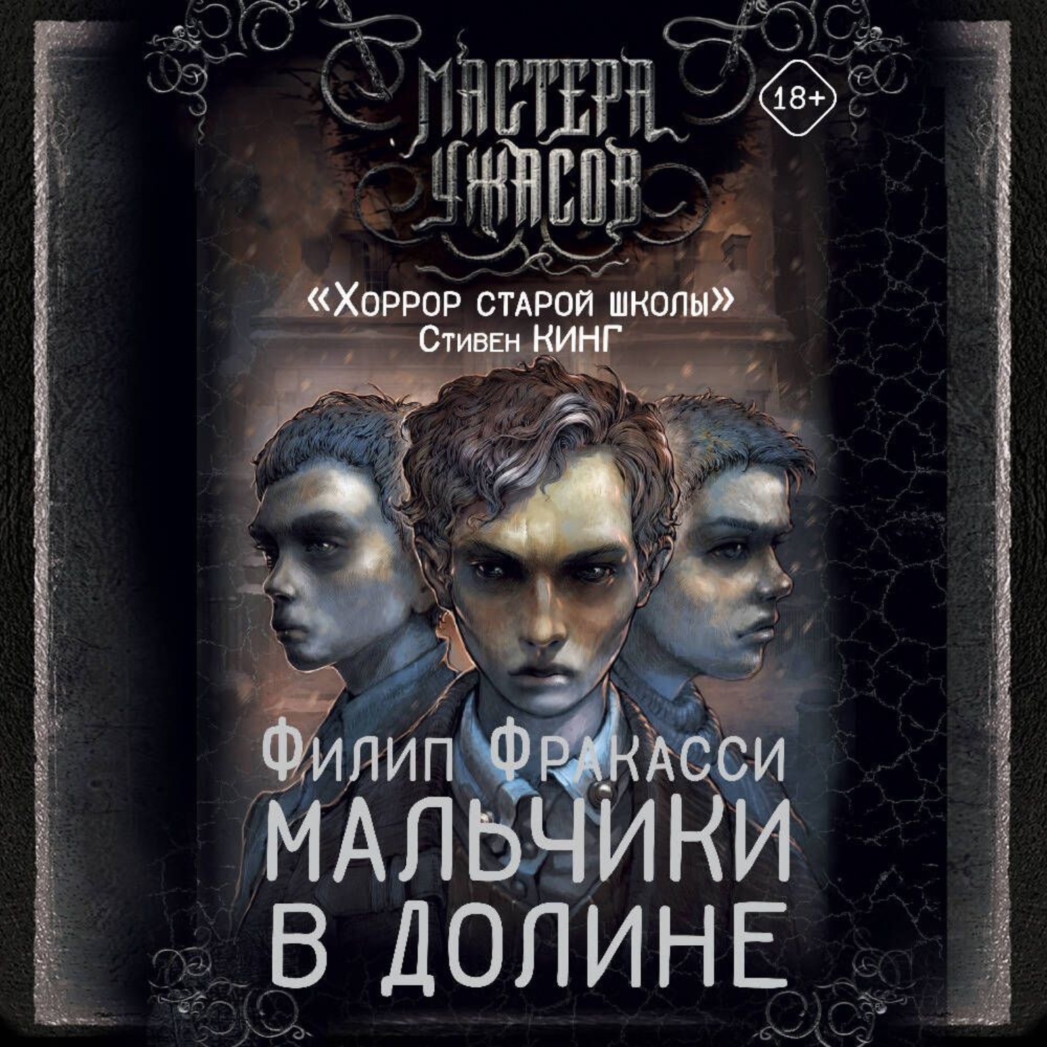 Обложка книги «Мальчики в долине»