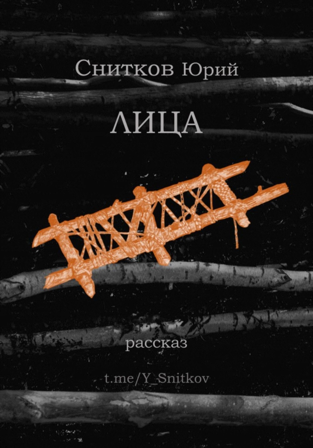 Обложка книги «Лица»