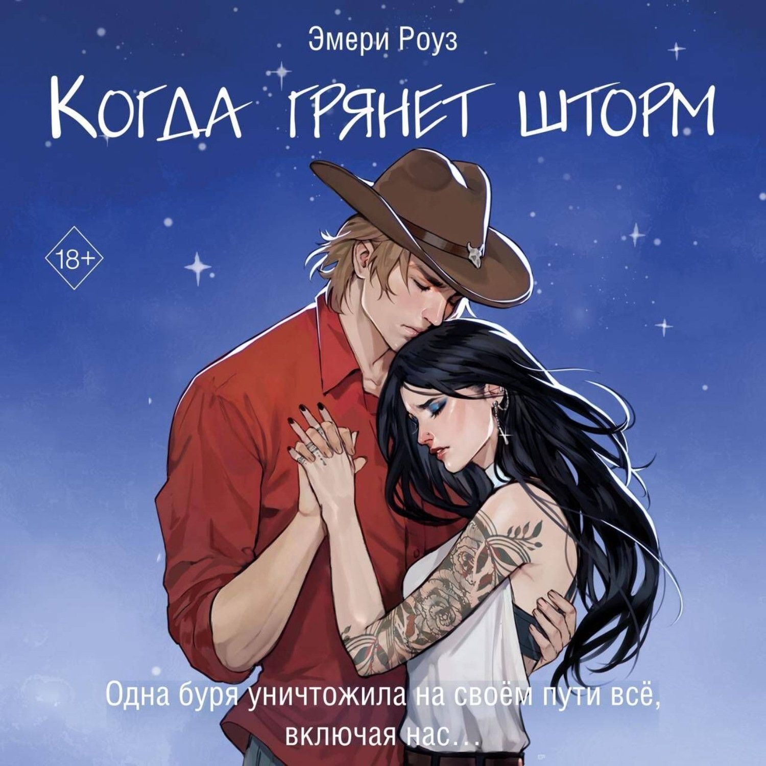 Обложка книги «Когда грянет шторм»