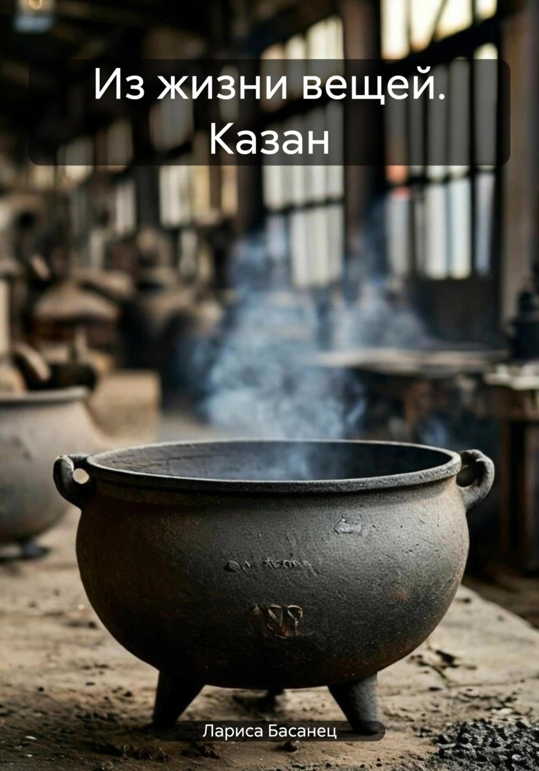 Обложка книги «Из жизни вещей. Казан»