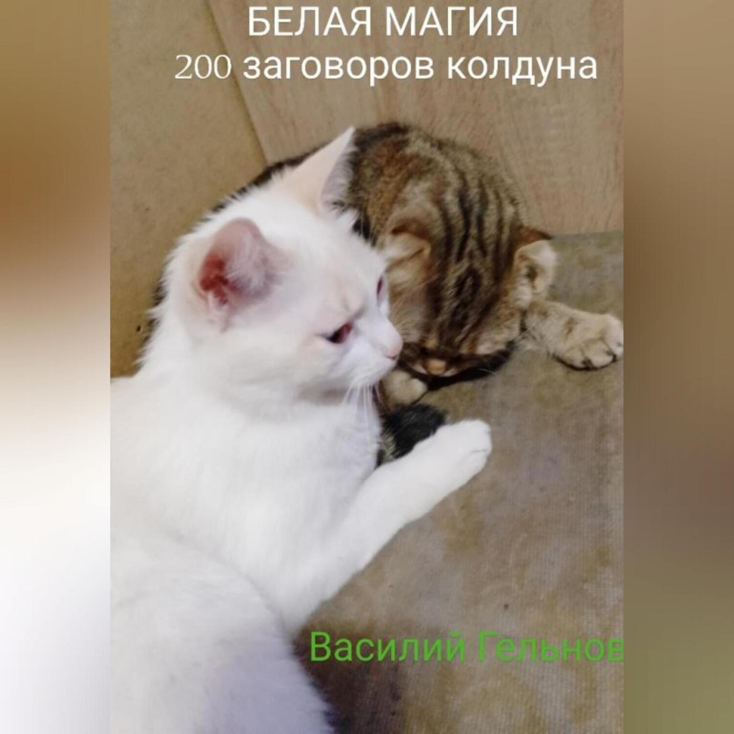 Обложка книги «Белая магия. 200 заговоров колдуна»