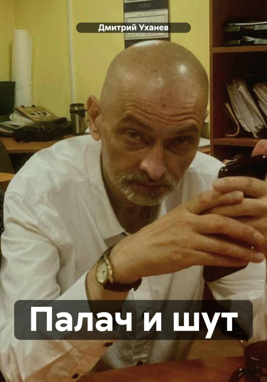 Обложка книги «Палач и шут»