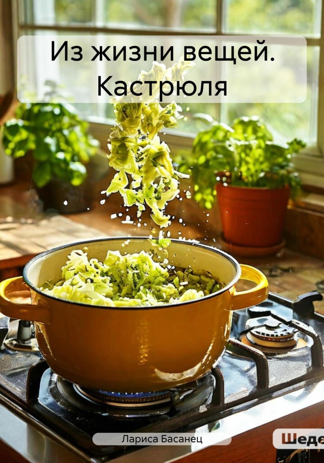 Обложка книги «Из жизни вещей. Кастрюля»