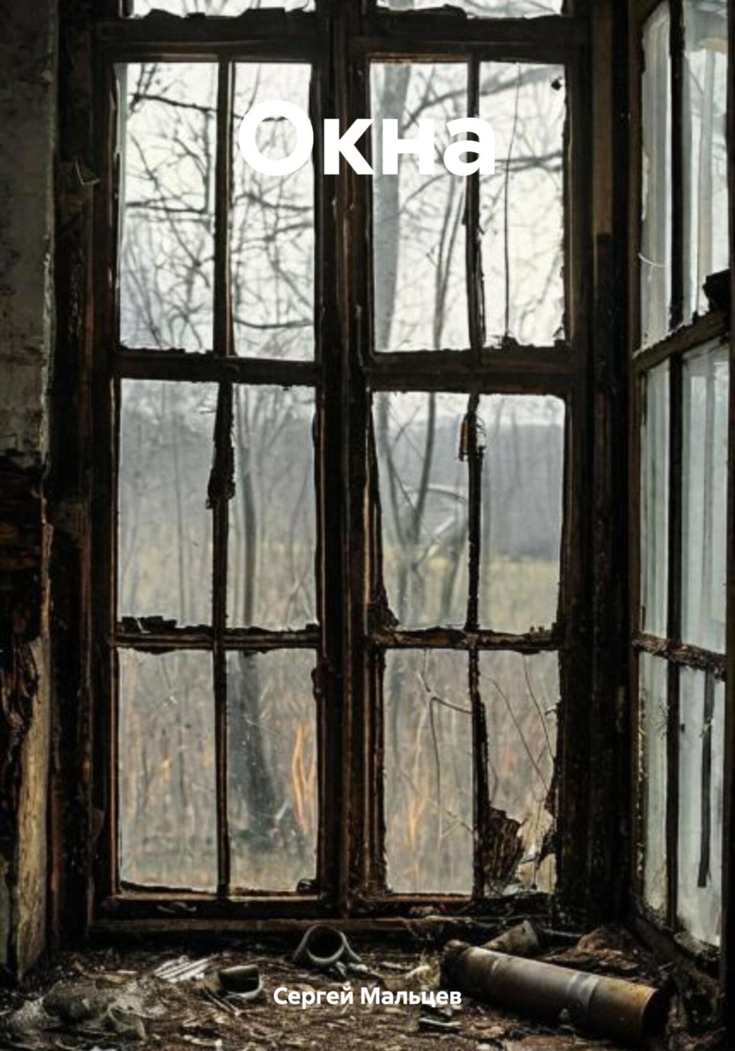 Обложка книги «Окна»