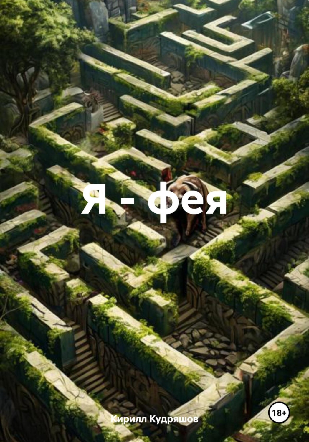 Обложка книги «Я – фея»