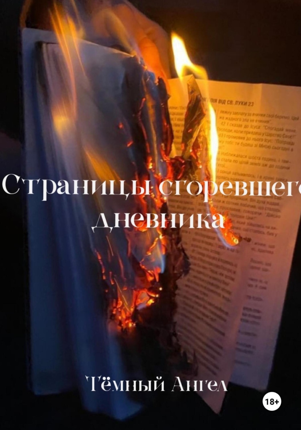 Обложка книги «Страницы сгоревшего дневника»