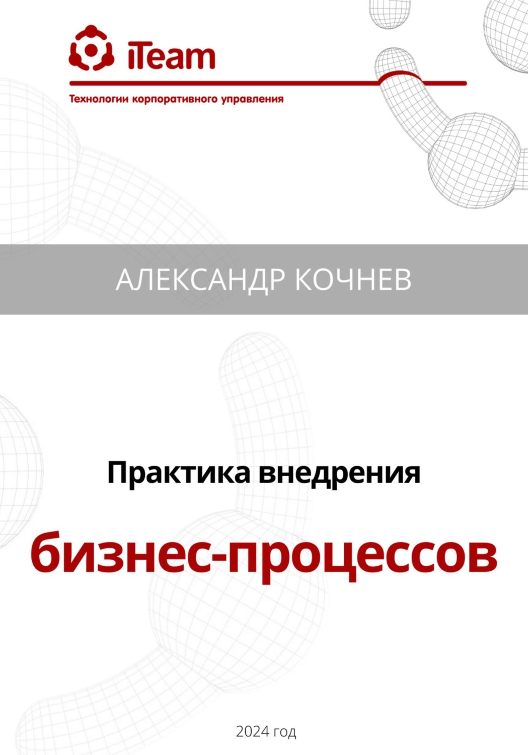 Обложка книги «Практика внедрения бизнес-процессов»