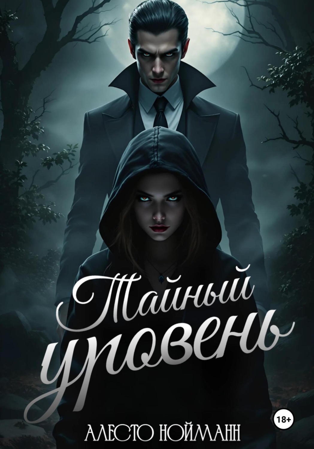 Обложка книги «Тайный уровень»