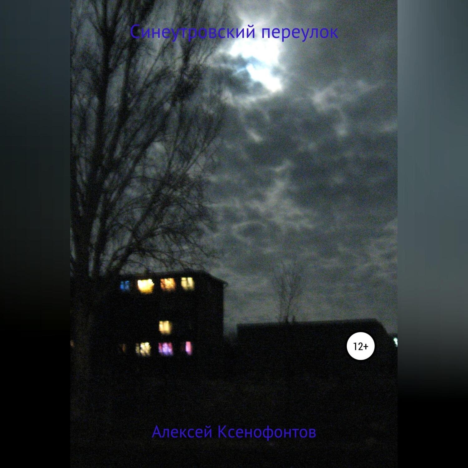Обложка книги «Синеутровский переулок»